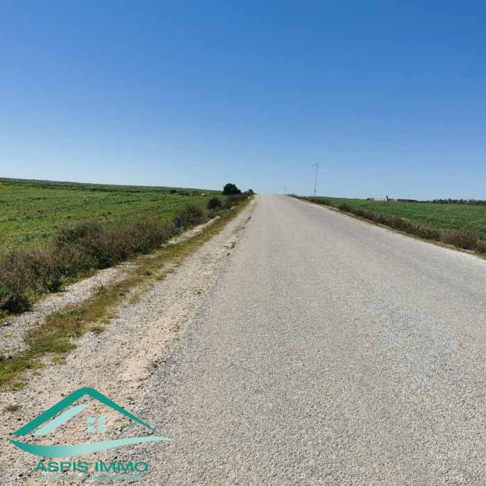 Kelibia Oued El Khatef Terrain Terrain nu Vt804terrain 3207 m2 wed khatf kelibia