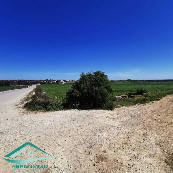 Kelibia Oued El Khatef Terrain Terrain nu Vt804terrain 3207 m2 wed khatf kelibia