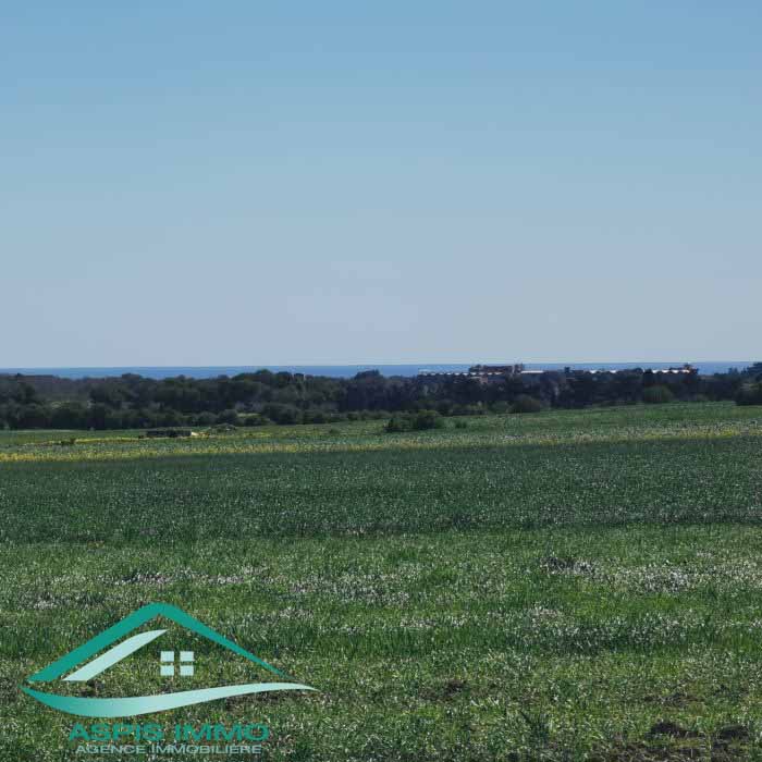 Kelibia Oued El Khatef Terrain Terrain nu Vt804terrain 3207 m2 wed khatf kelibia