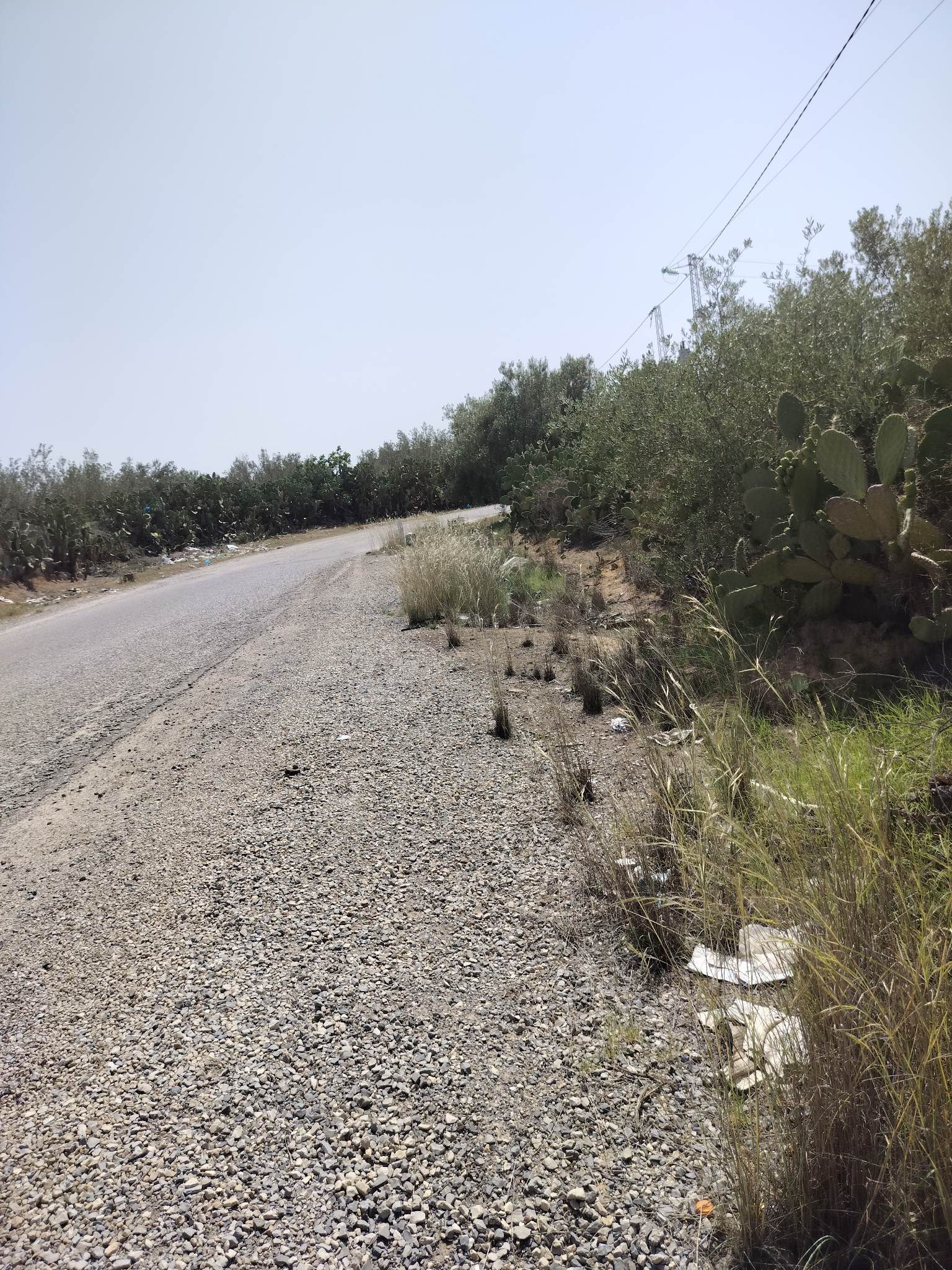 Kalaa El Kebira Kalaa El Kebira Terrain Terrain agricole Terrain 4200m sur la route principale el henya