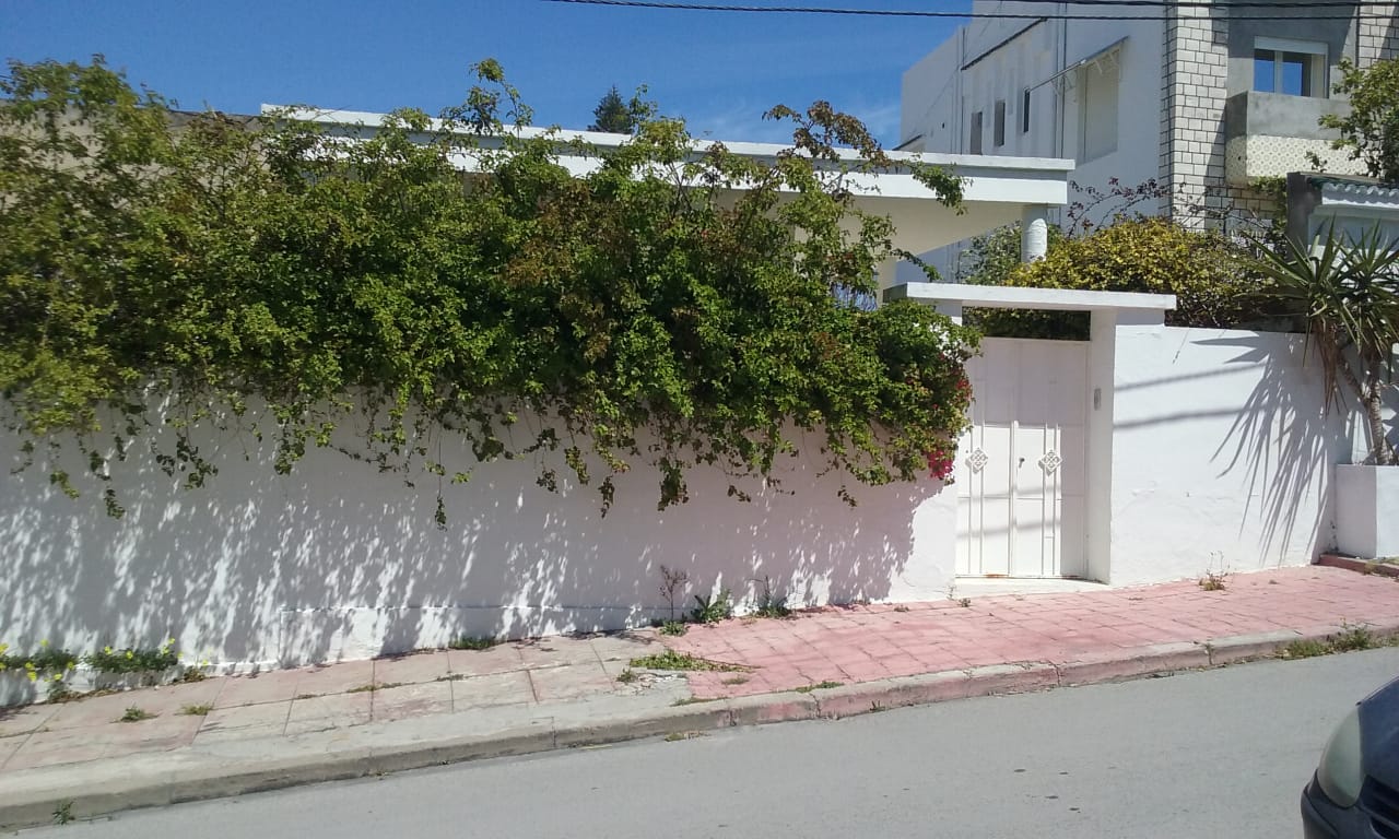 Bab Souika Borj Zouara Vente Maisons Terrain  bab saadoun tunis