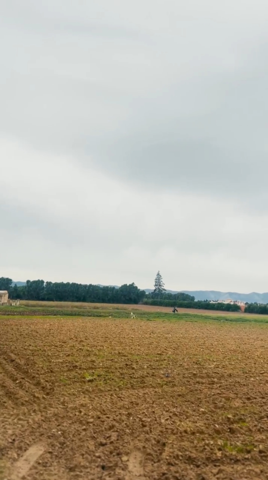 Soliman Bou Charray Terrain Terrain agricole Terrain agricole  bou charray