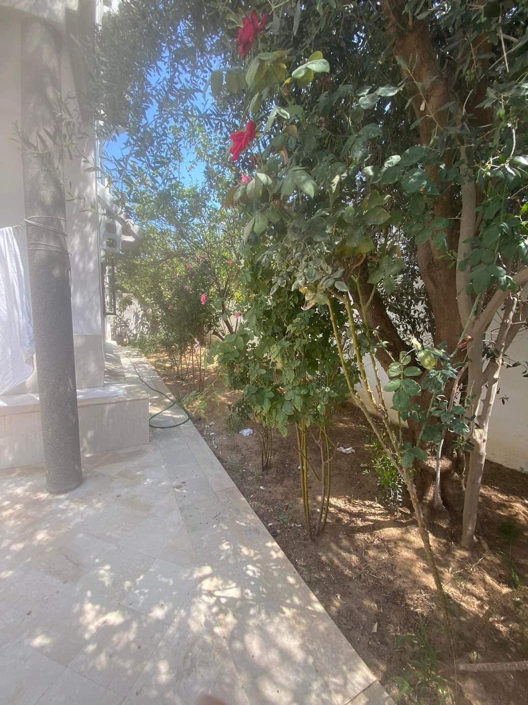 La Soukra Borj Louzir Vente Maisons Rez de chausse de villa s3 390 md borj louzir