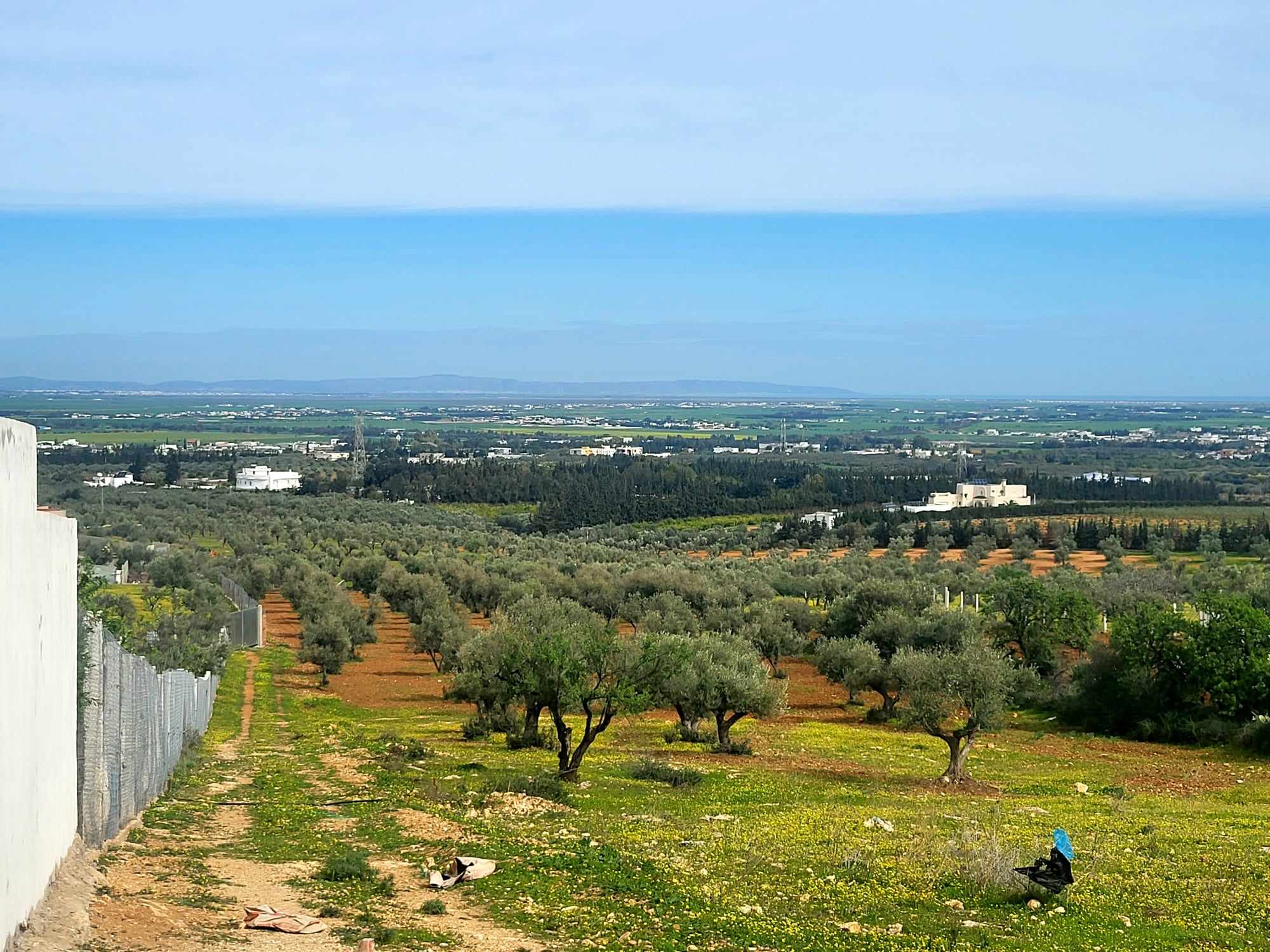 Sidi Thabet Jabbes Terrain Terrain agricole 'un beau terrain 320 m2