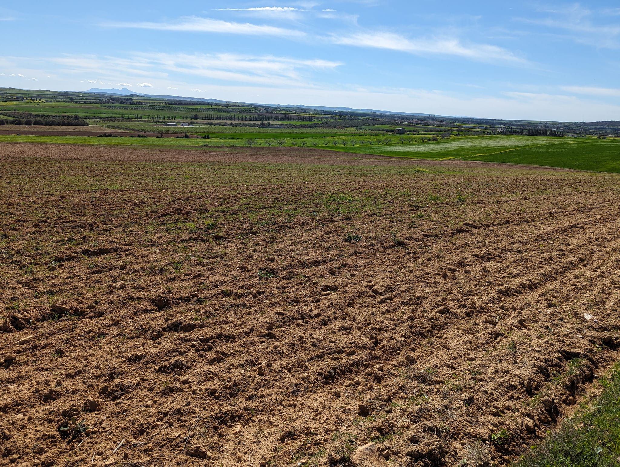 El Battan El Battan Terrain Terrain agricole Deux terrains agricole mitoyen