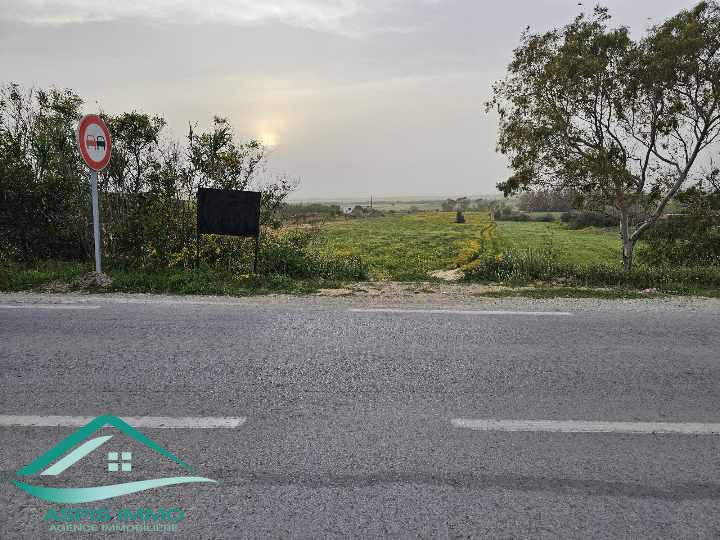 El Haouaria Charaf Vente Surfaces Terrain agricole 5 hectares  chraf el hawaria