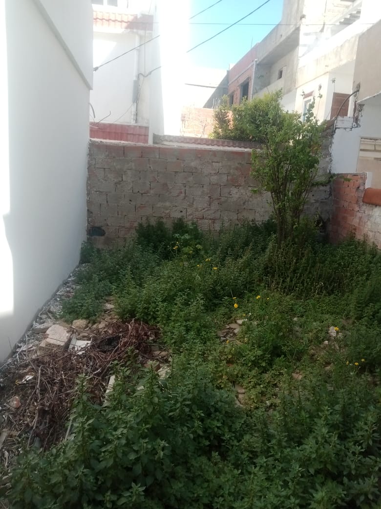 Bizerte Nord Bizerte Vente Appart. 3 pices Un appartement