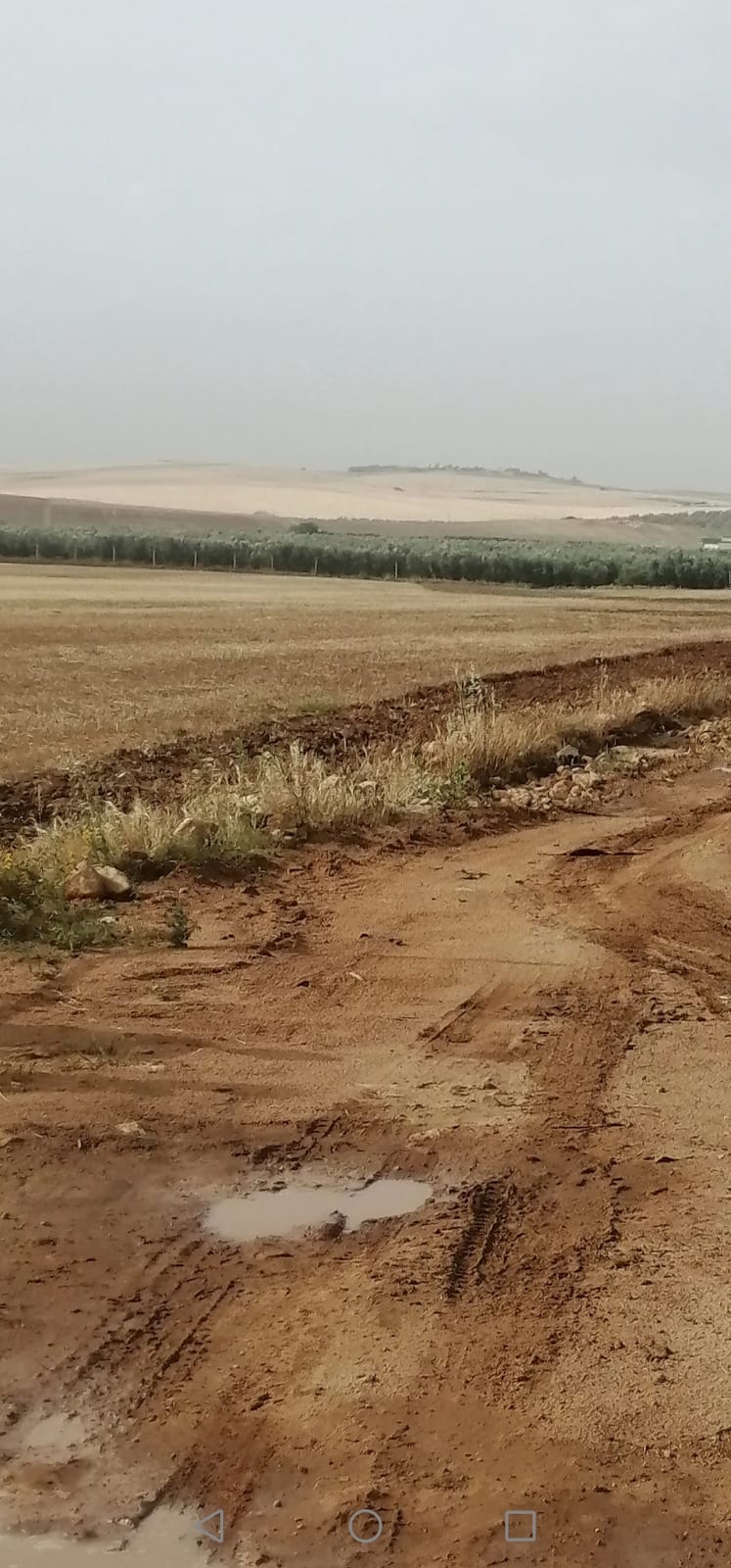 Borj El Amri Borj El Amri Terrain Terrain nu Terrain a tunis