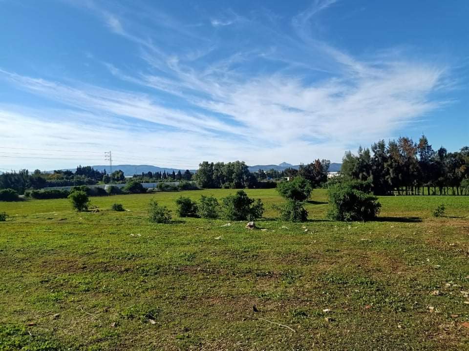 Soliman Cherifate Terrain Terrain agricole Gps  terrain bon emplacement sur route goudronne