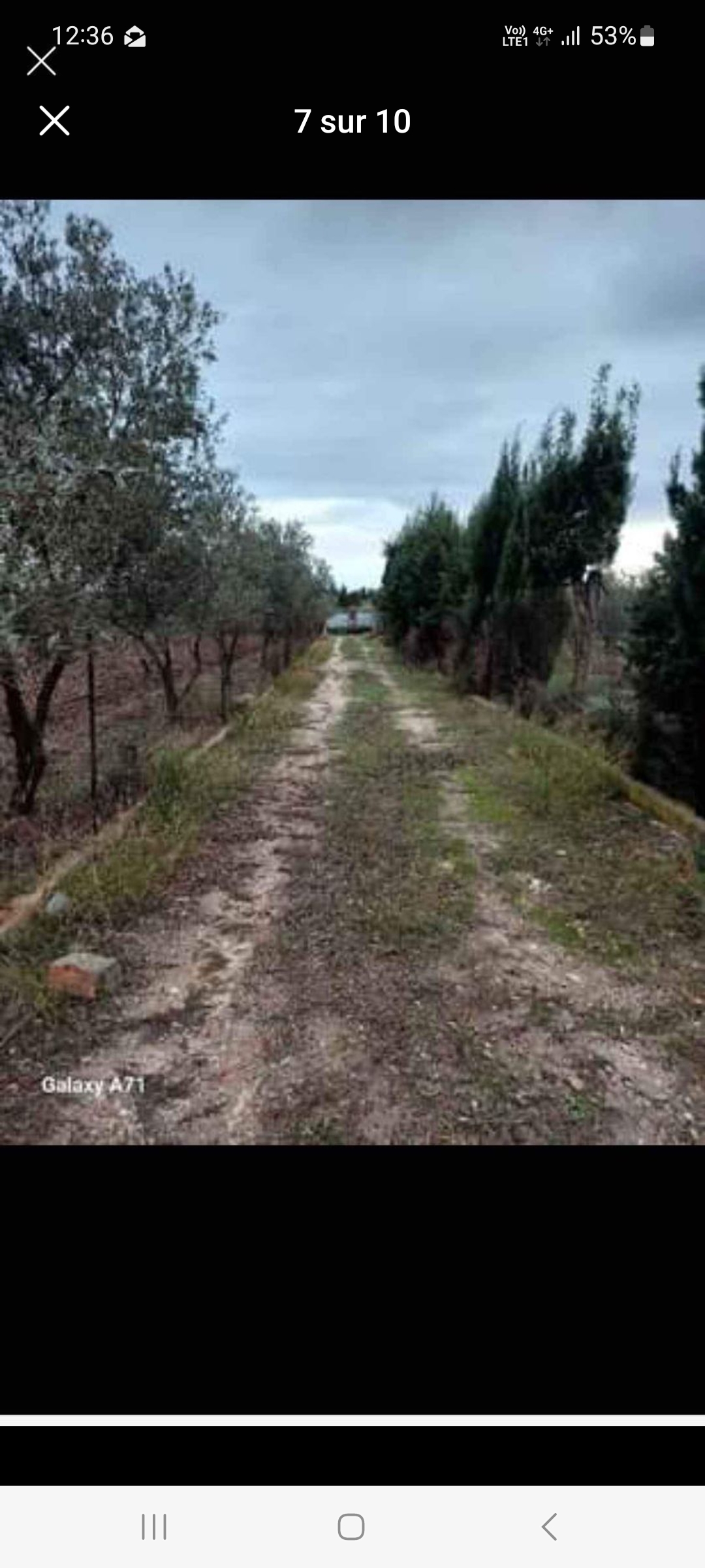 Ras Jebel Ras Jebel Terrain Terrain agricole Senia fi rasjbal