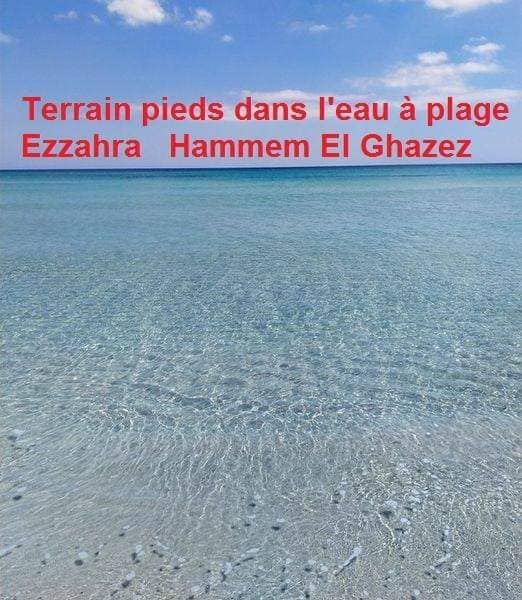 Hammam El Ghezaz Ezzahra Terrain Terrain nu Terrain les pieds dans l'eau