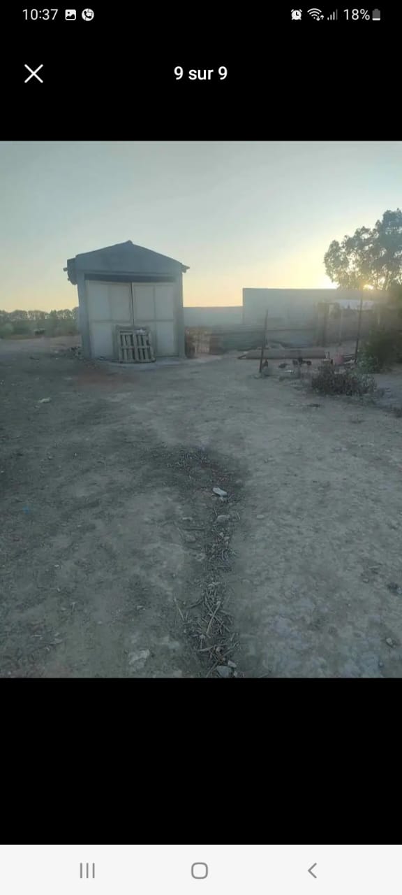 Borj El Amri Borj El Amri Vente Maisons Villa de 200m2 bati sur un terrain de 2400m2