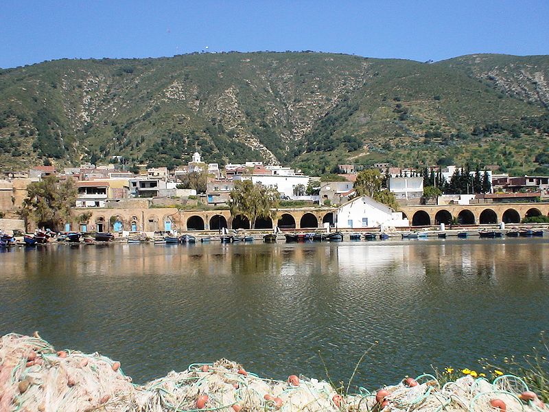 Ghar El Melh Ghar El Melh Terrain Terrain nu Ghar el melh votre havre de paix