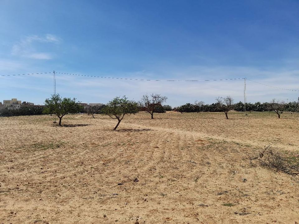 Sfax Sud El Ain Terrain Terrain nu Deux terrains