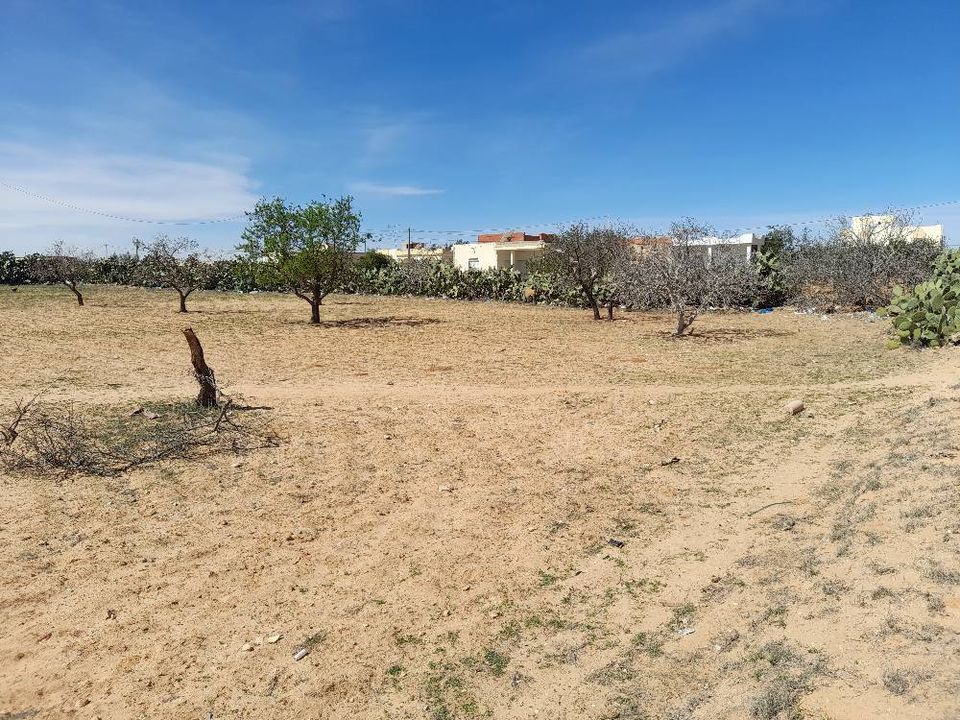 Sfax Sud El Ain Terrain Terrain nu Deux terrains