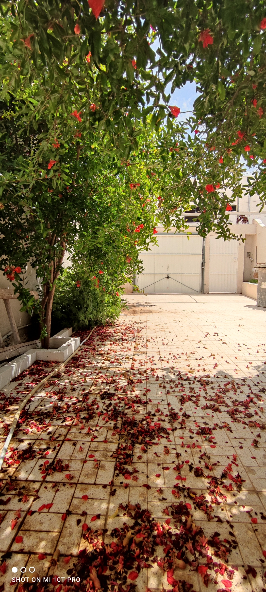 Sidi Hassine Borj Chakir Location Maisons Jolie villa tunis