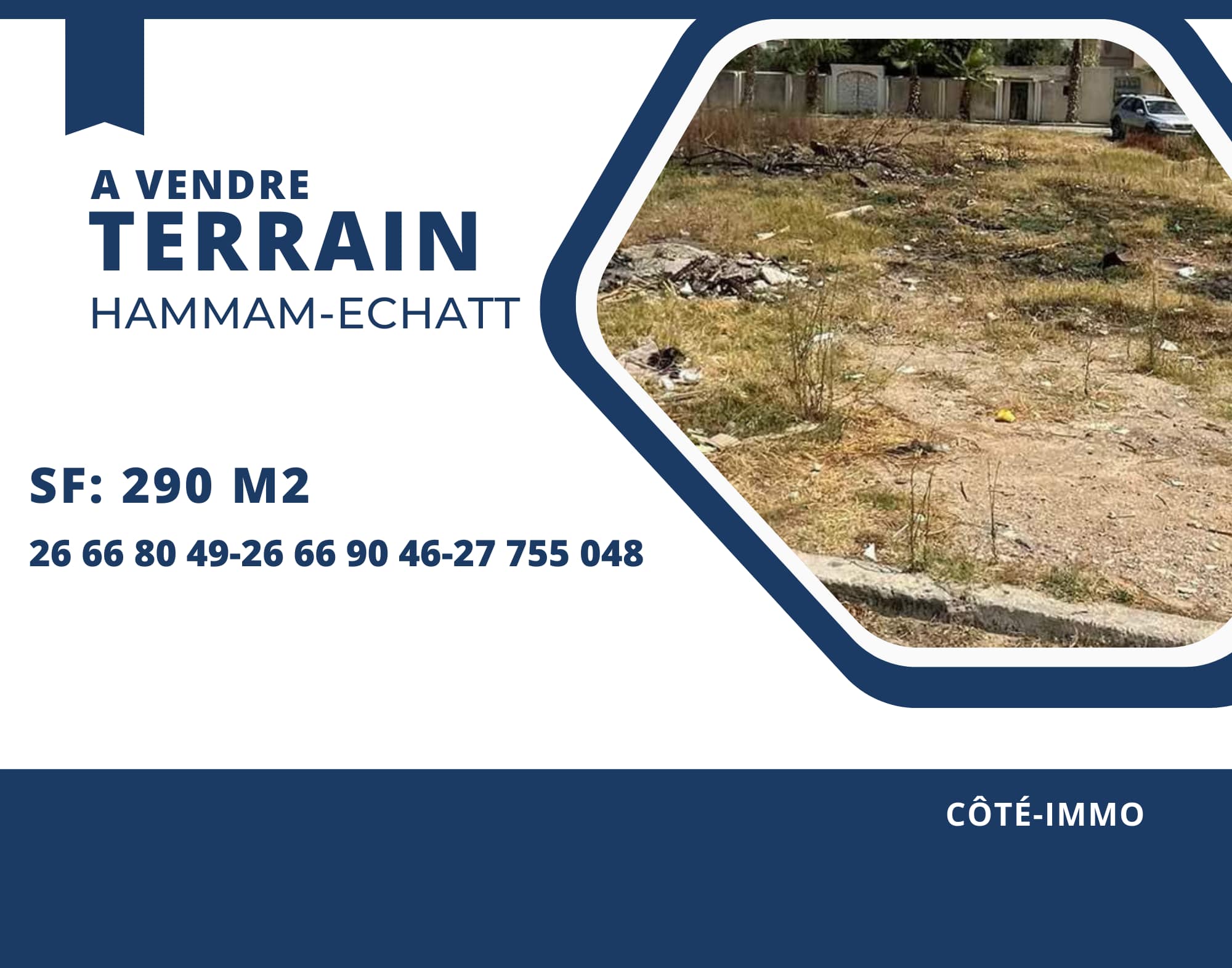 Hammam Chatt Hammam Chatt Vente Surfaces Terrain  hamam chat