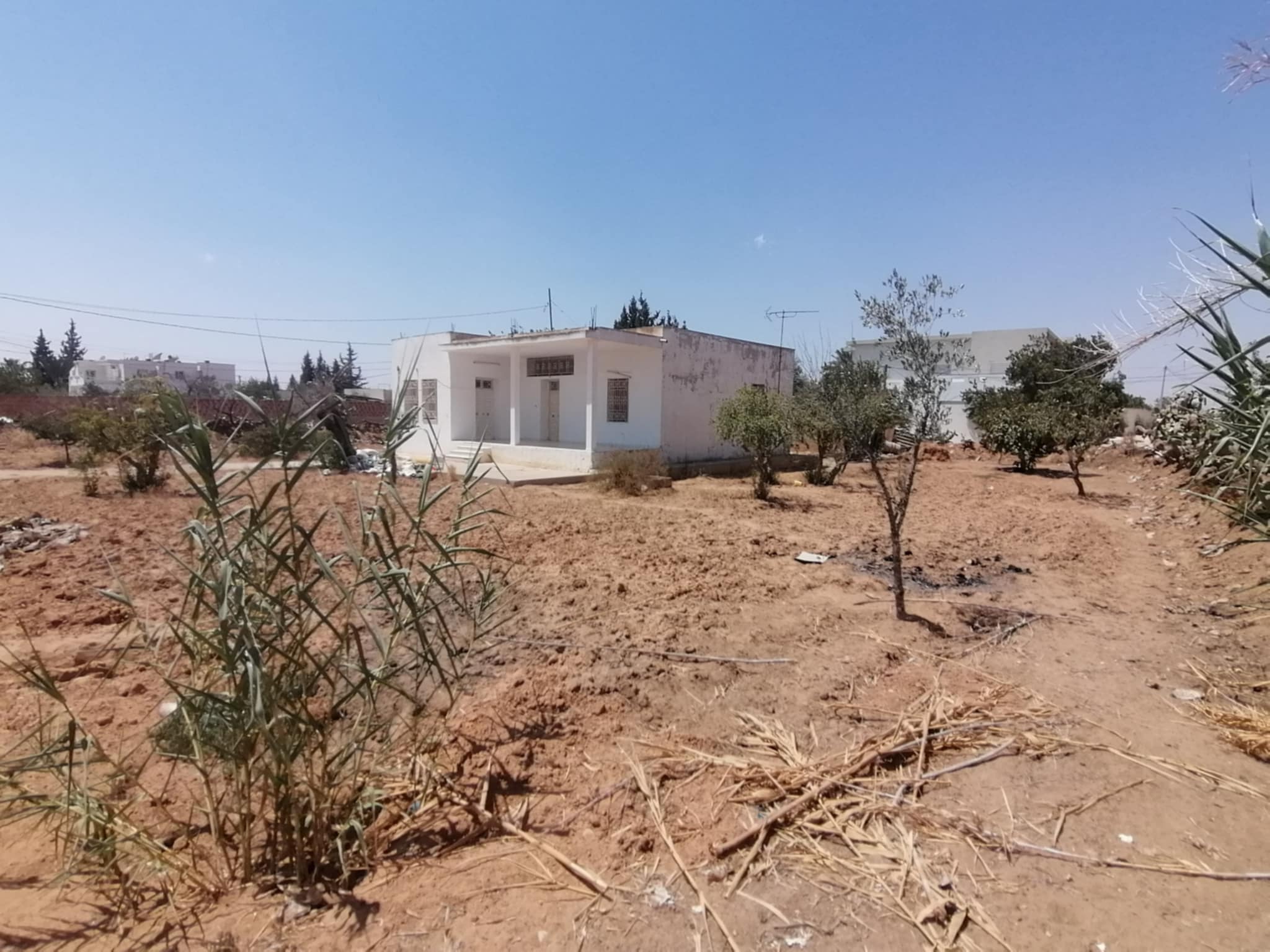 Sfax Sud El Ain Vente Maisons Jnen et villa rte menzel chaker km7 titre foncier