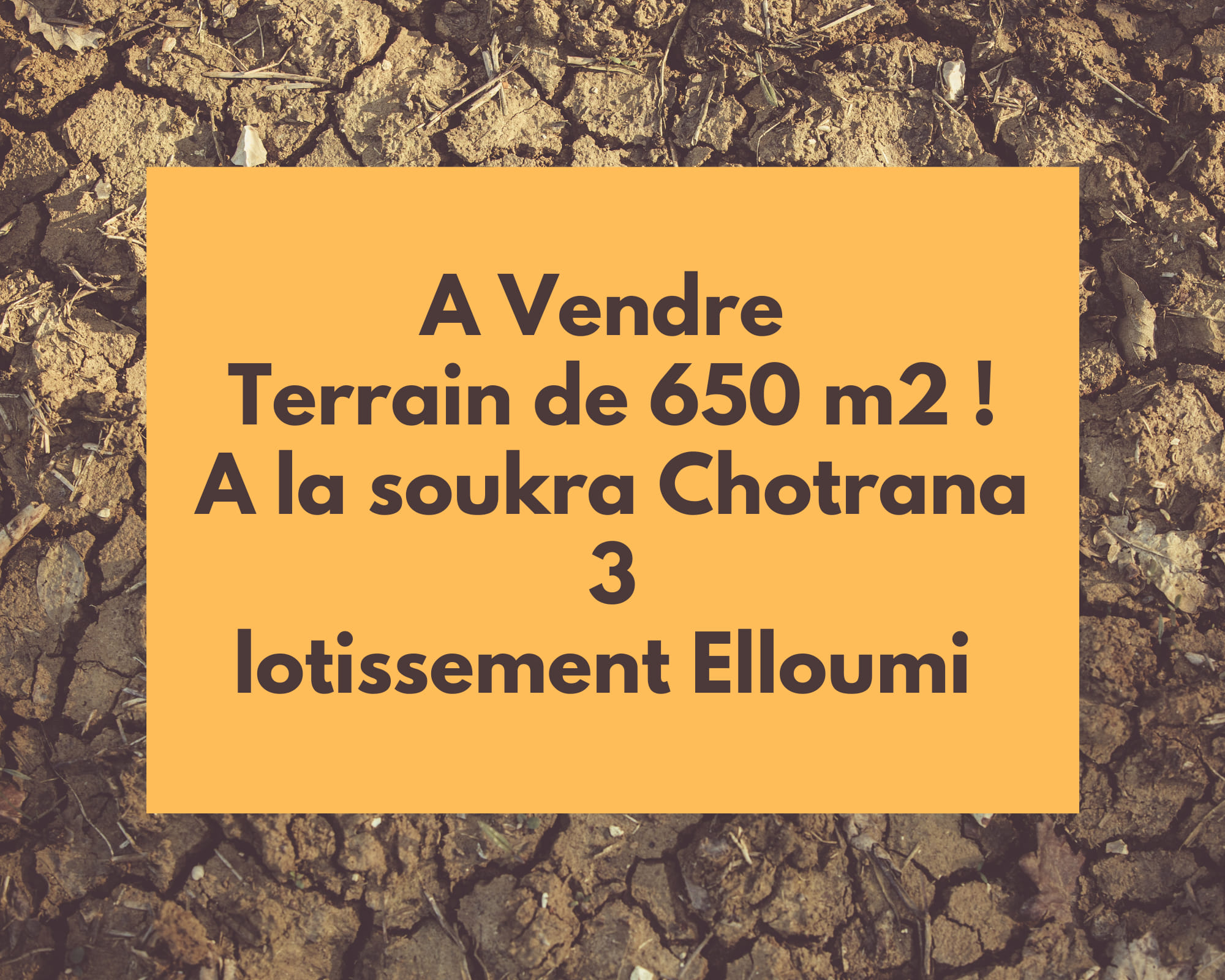 La Soukra Chotrana 3 Terrain Terrain nu Terrain rare a lotissement elloumi soukra