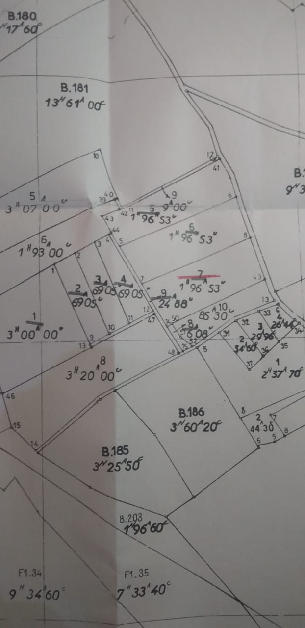 Hammamet Sidi Jedidi Vente Surfaces Terrain uranus