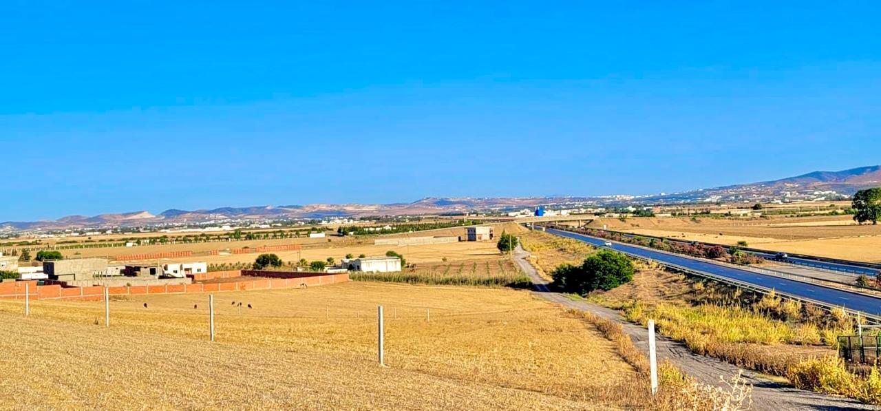 Sidi Thabet Chorfech 2 Terrain Terrain agricole 160m a 28000 dinars