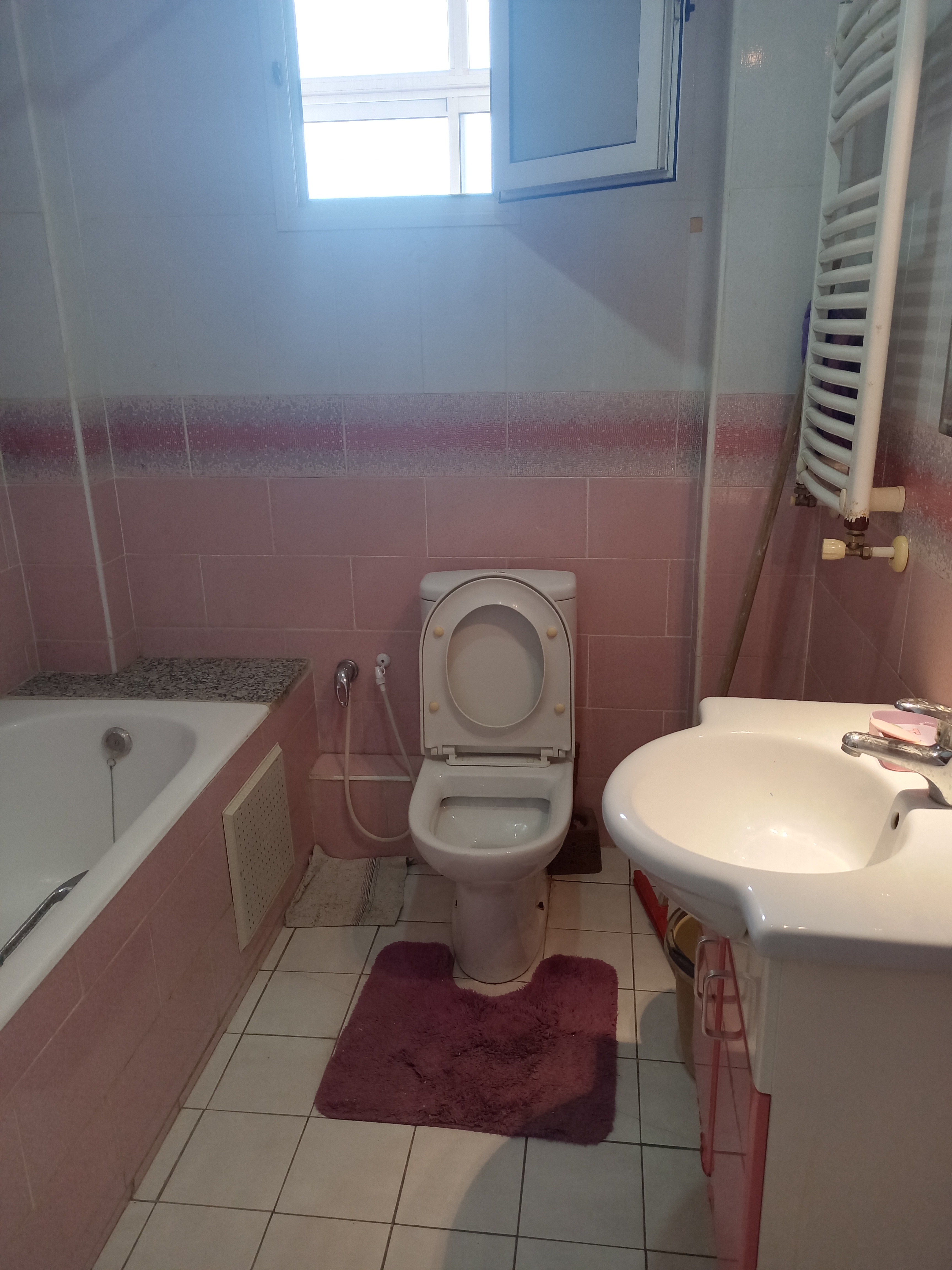 Carthage Cite Mohamed Ali Location Appart. 3 pices Un appartement s 2