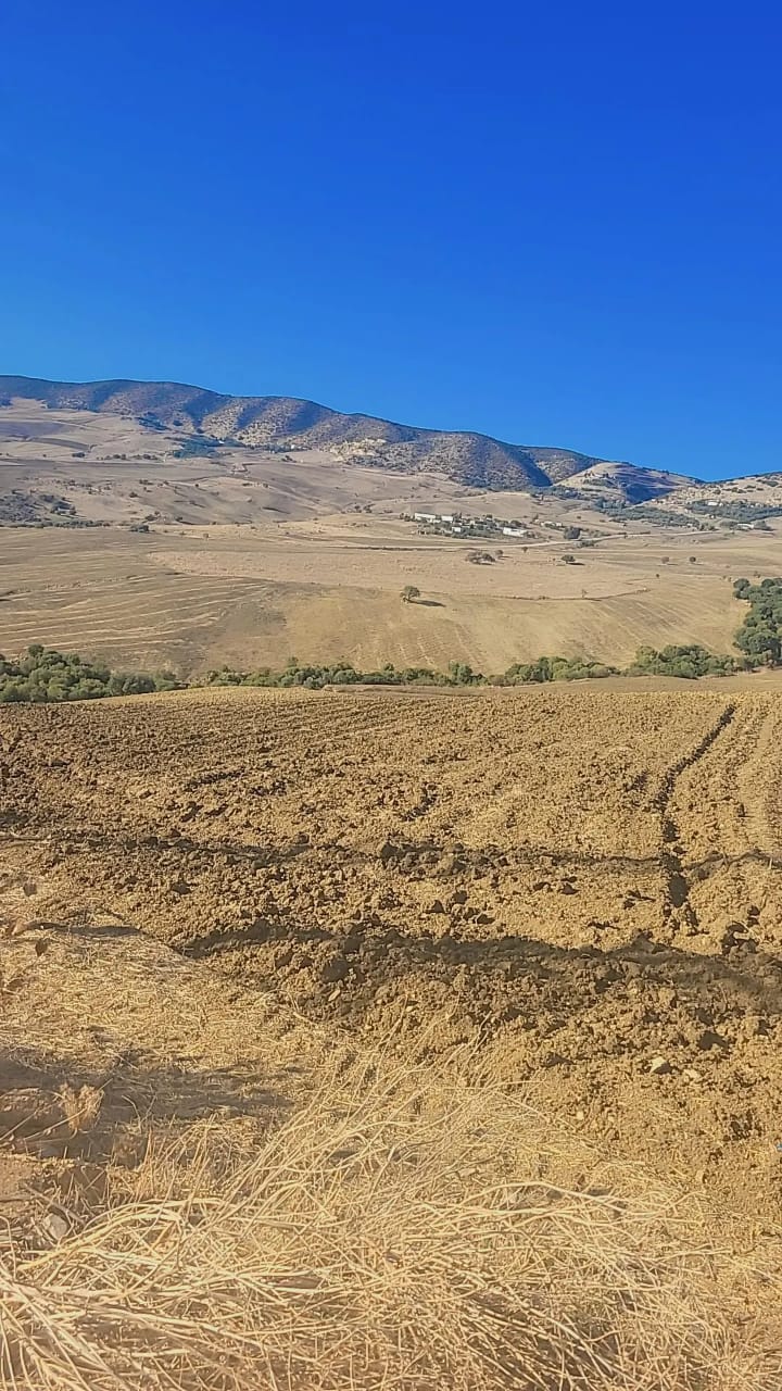 Mateur Mateur Terrain Terrain agricole Terrain agricole