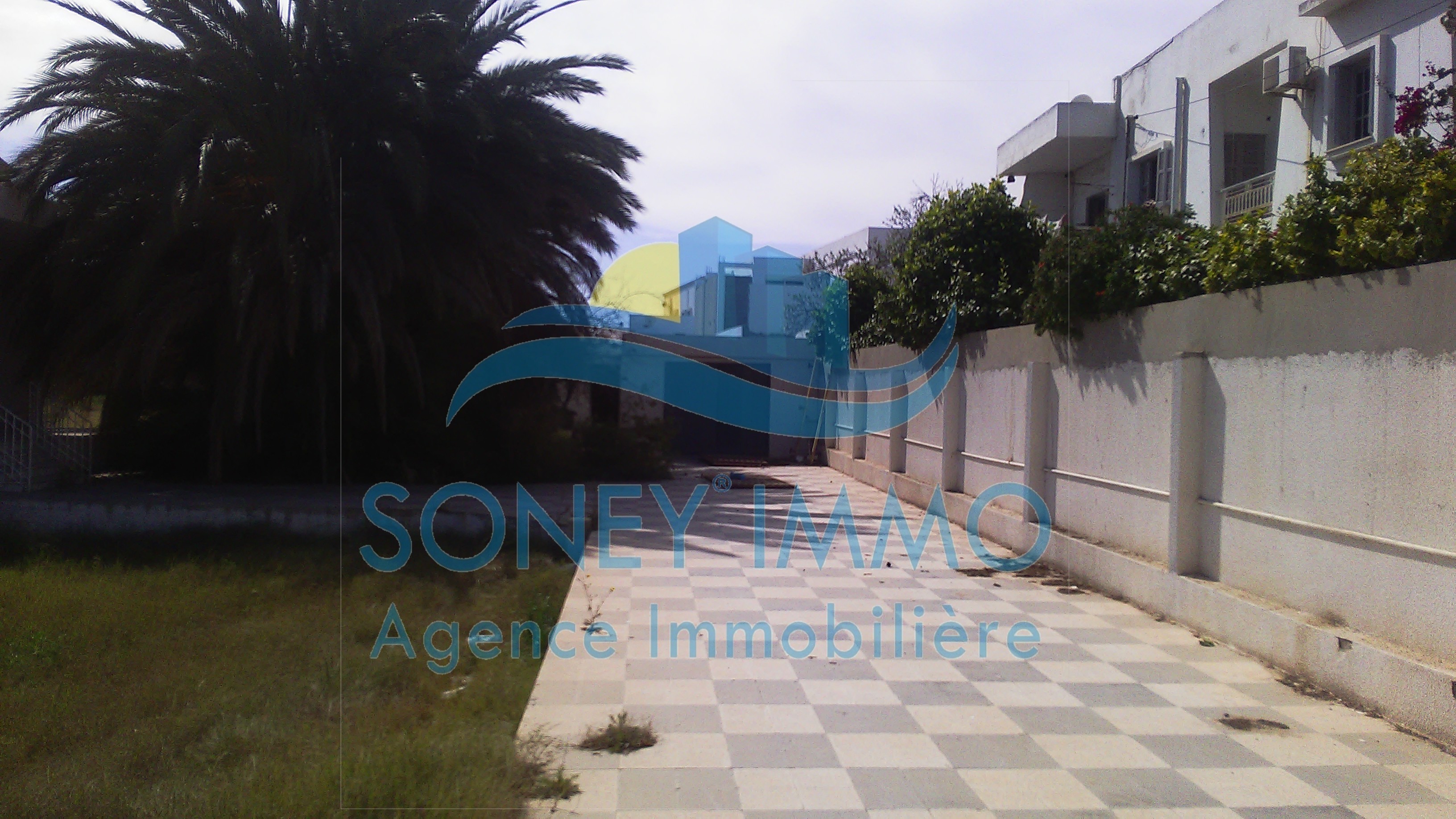 Sfax Sud El Ain Vente Maisons Villa avec large terrain route el ain km 2