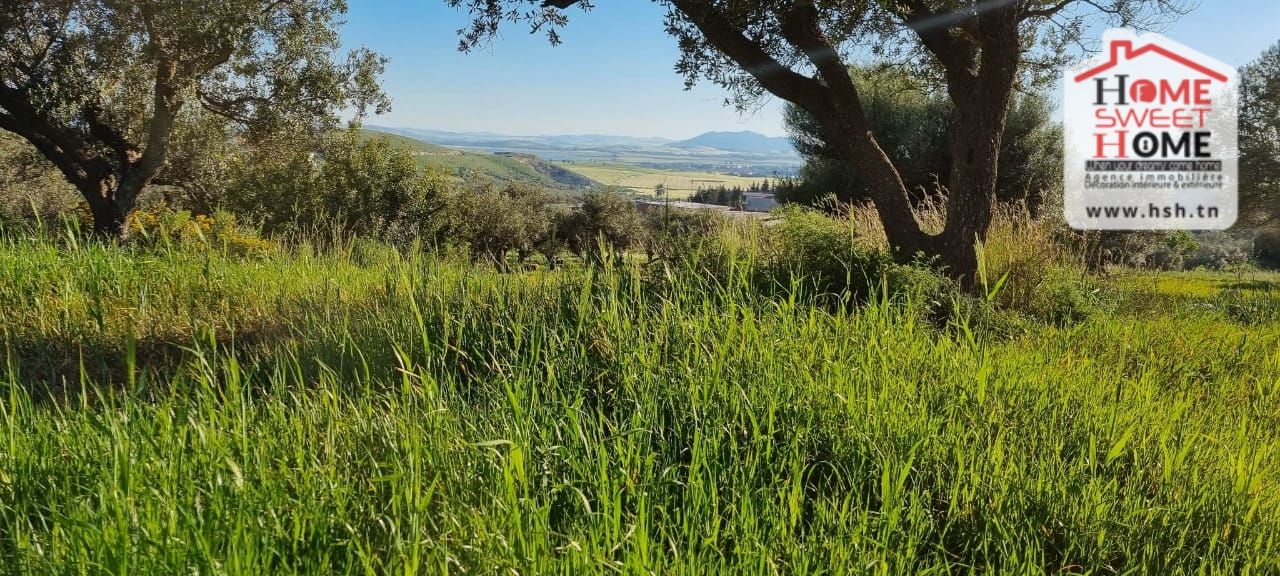 Bizerte Nord Bizerte Terrain Terrain agricole Terrain agricole anhar  bizerte