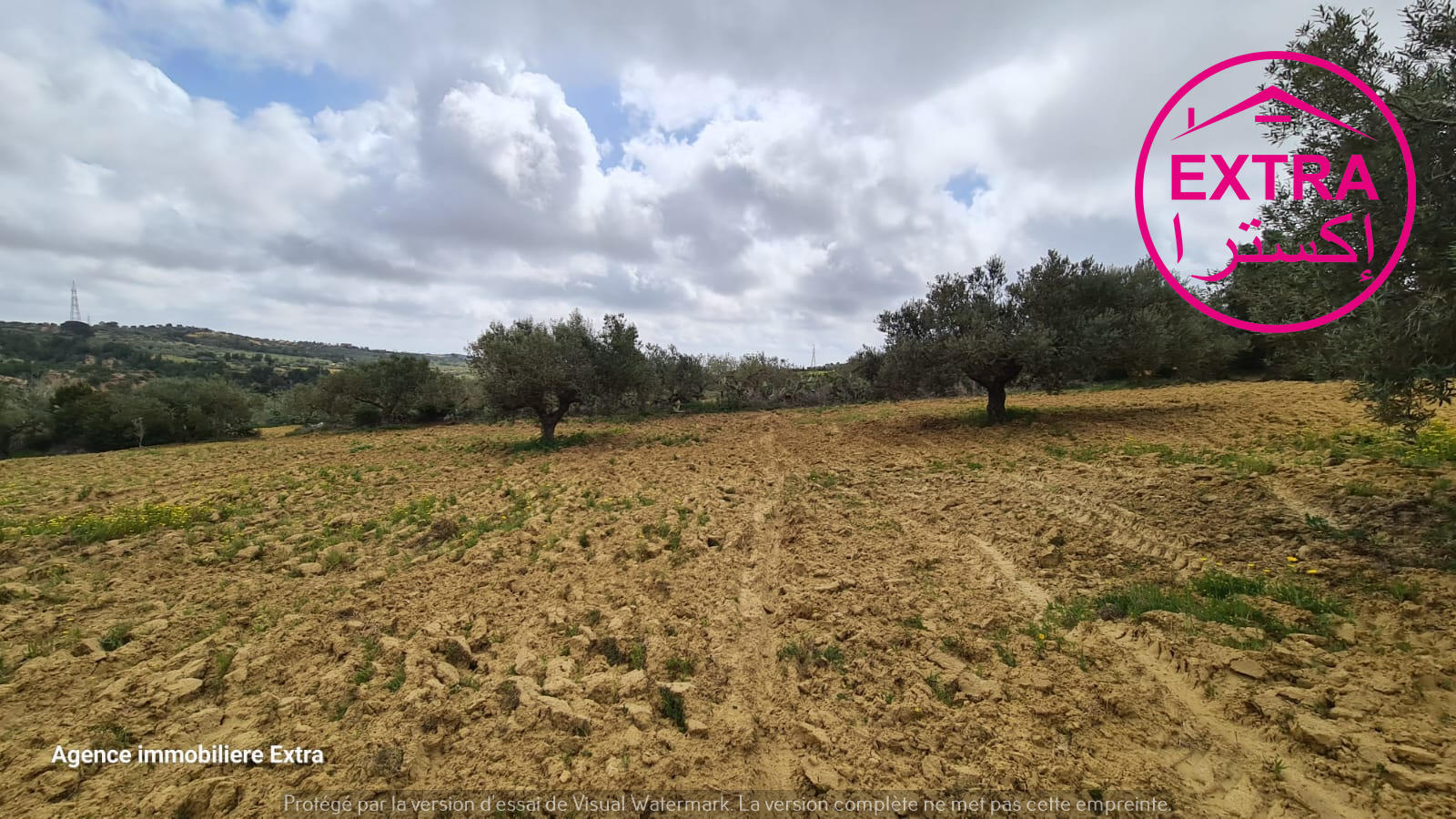 Nabeul Henchir El Haouaria Terrain Terrain agricole Campagne  el haouaria de nabeul