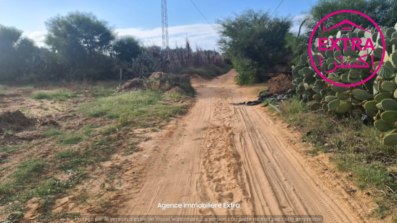 Beni Khiar Ghardaya Terrain Terrain nu Hectare a ghardeya