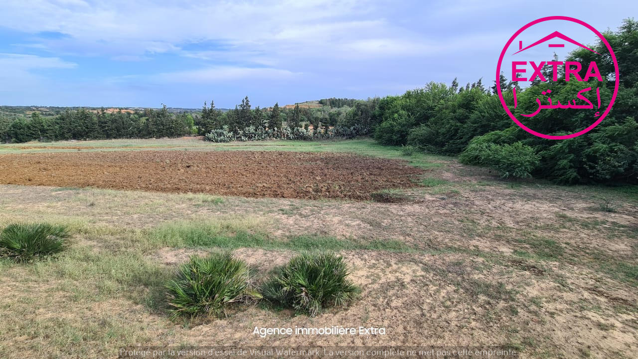 Beni Khiar Ghardaya Terrain Terrain nu Hectare a ghardeya