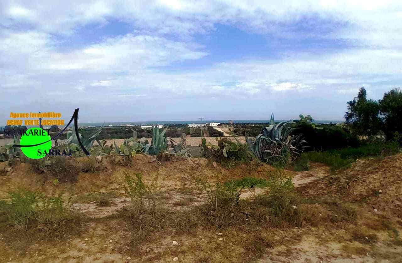 Akouda Chatt Meriem Terrain Terrain agricole Lot dans une cit priv devant taksim el fourati