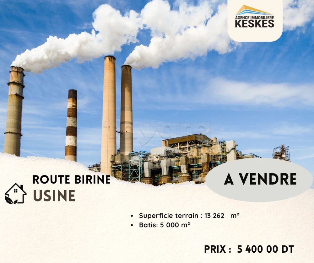 Sidi Hassine Birine Vente Autre Usine birine essijoumi ben arouss