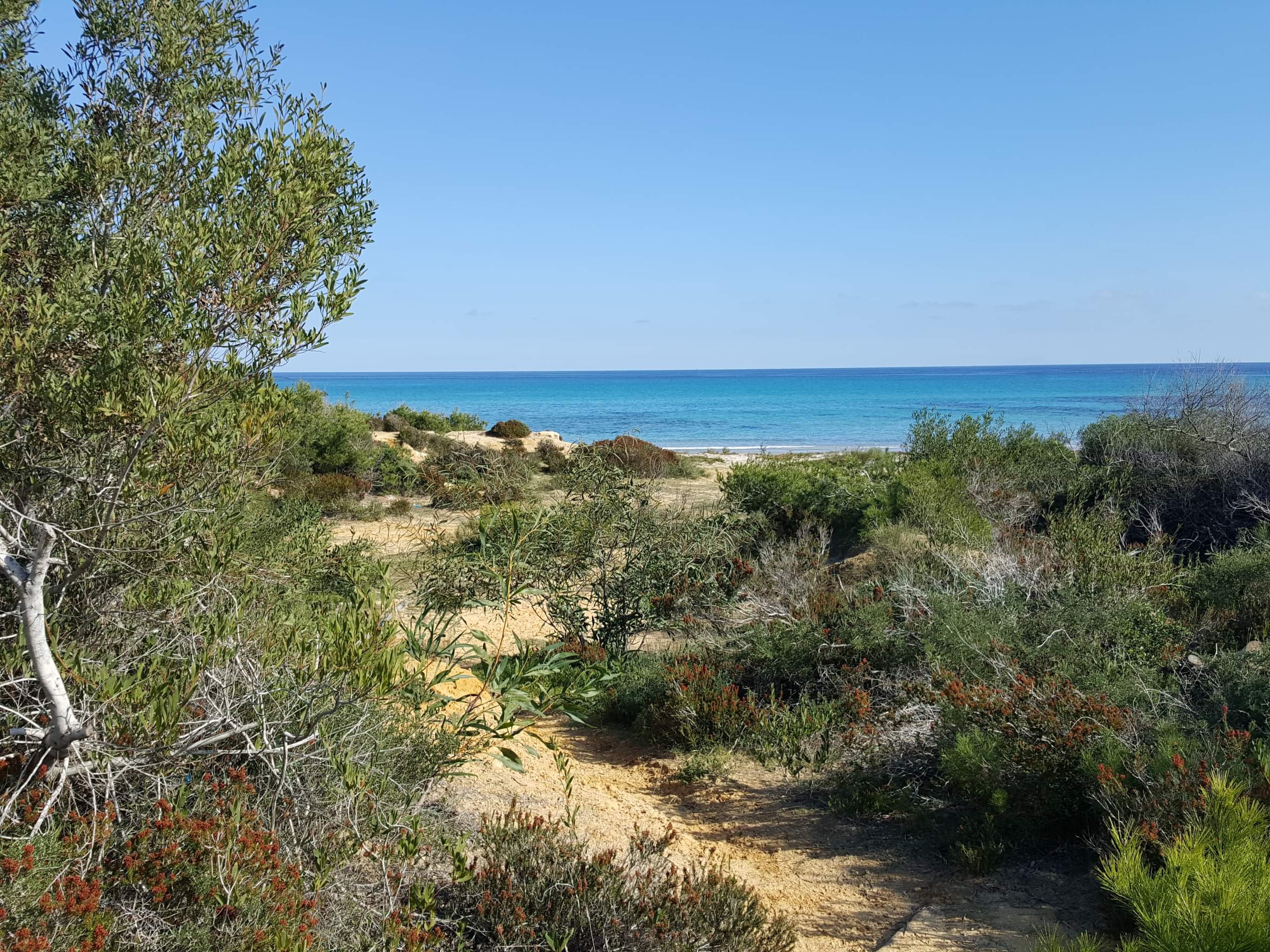 Hammam El Ghezaz Ezzahra Terrain Terrain agricole Terrain avec accs direct a une plage magnifique