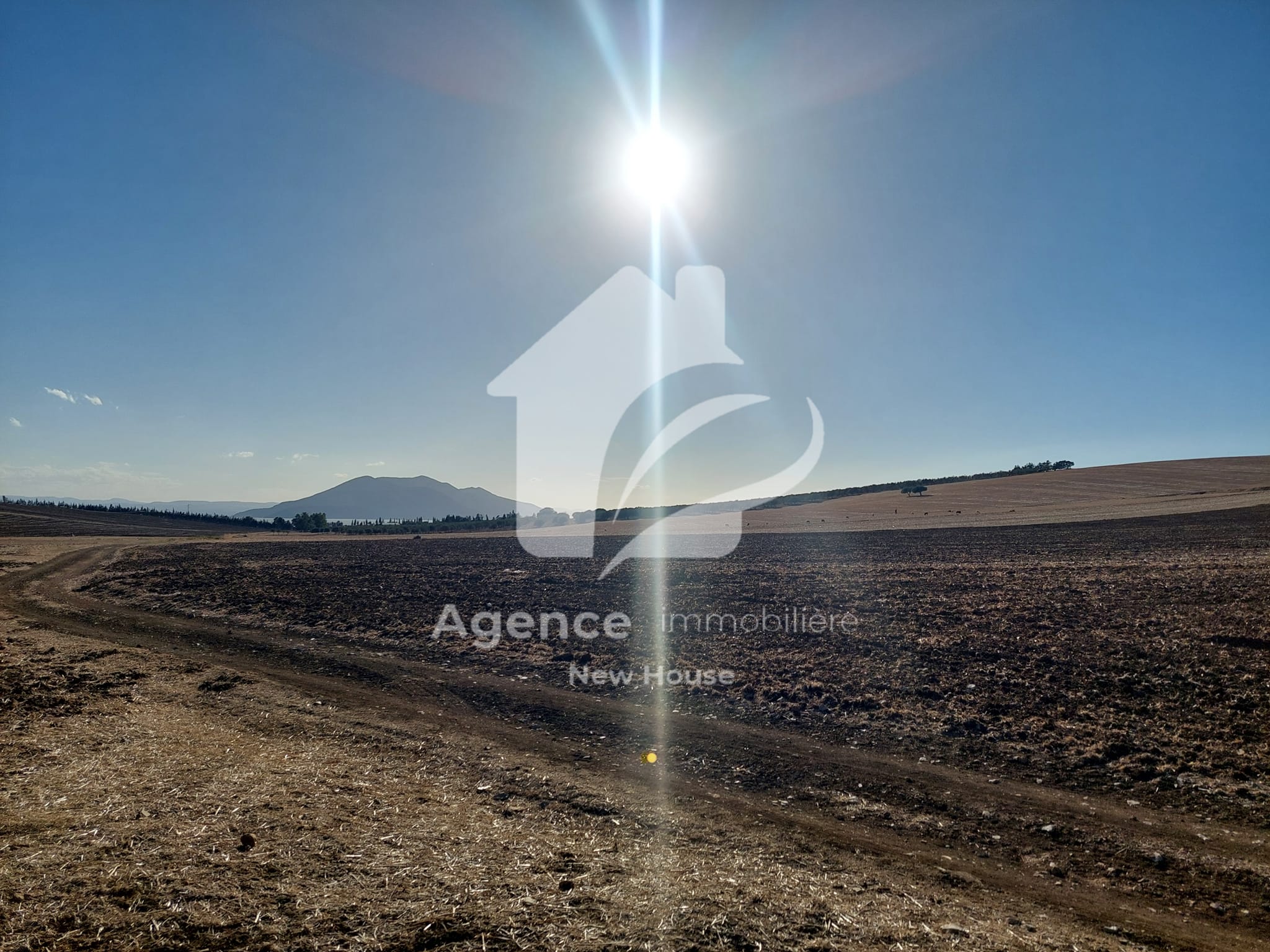 Bizerte Sud Louata Terrain Terrain agricole Terrain agricole