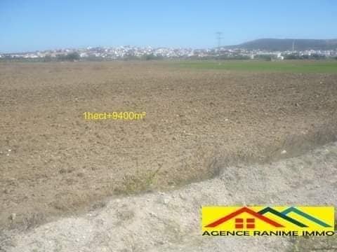 El Haouaria El Haouaria Terrain Terrain agricole Terrain agricole de 1h et 9400m2 a el haouaria