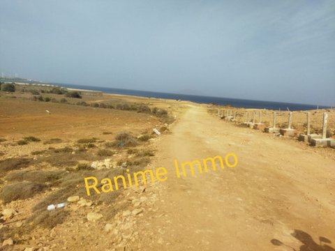 El Haouaria El Haouaria Terrain Terrain nu Terrain de 500m2 a la mer el haouaria cap bon