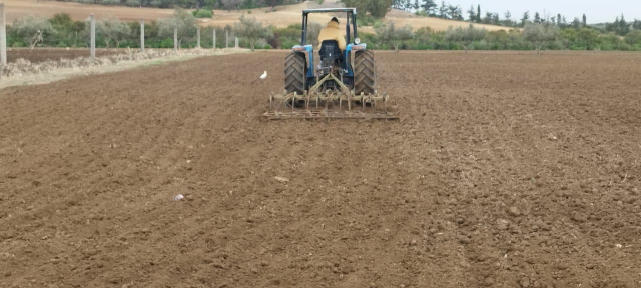 Korba Bou Lazhar Terrain Terrain agricole Terrain agricole korba