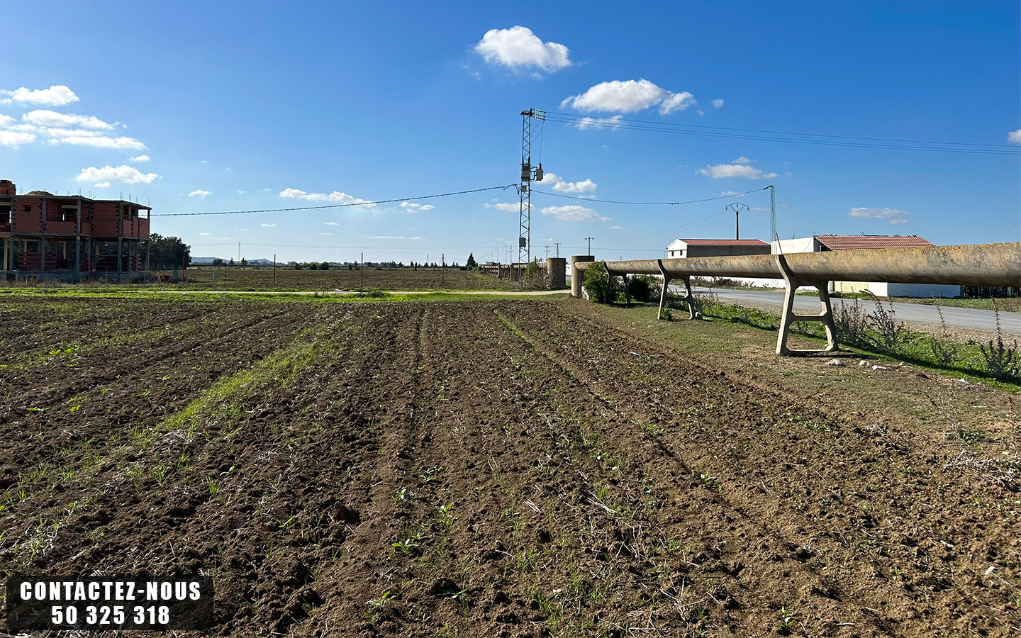 Sidi Thabet Chorfech 12 Terrain Terrain agricole Terrain agricole  chorfech sidi thabet