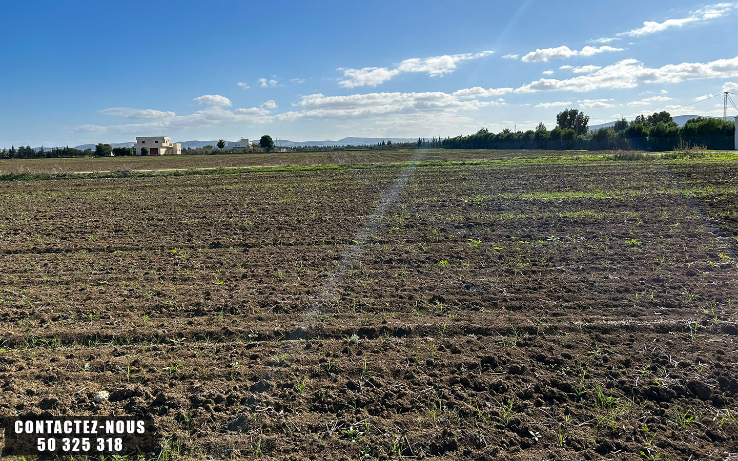 Sidi Thabet Chorfech 12 Terrain Terrain agricole Terrain agricole  chorfech sidi thabet