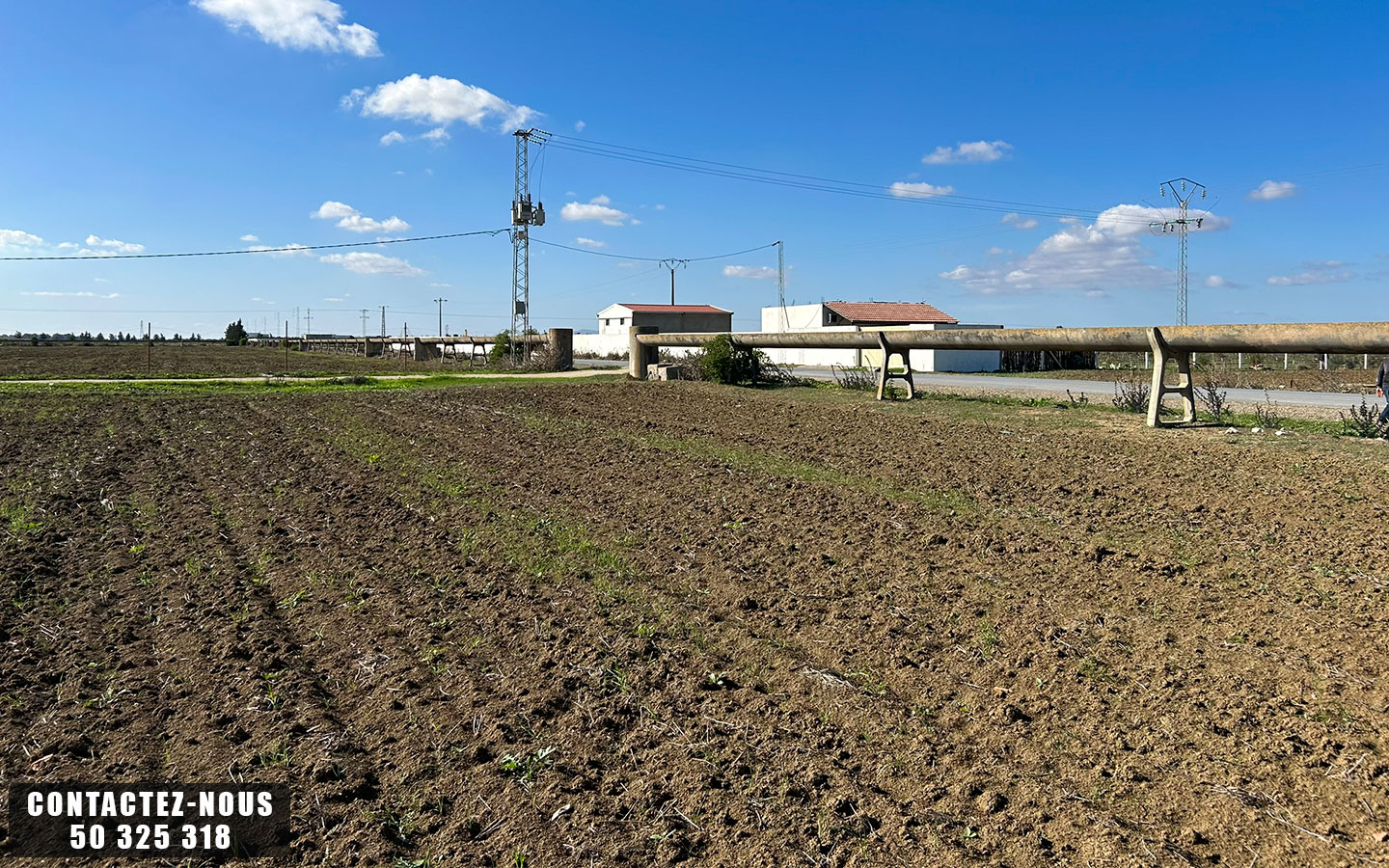 Sidi Thabet Chorfech 12 Terrain Terrain agricole Terrain agricole  chorfech sidi thabet