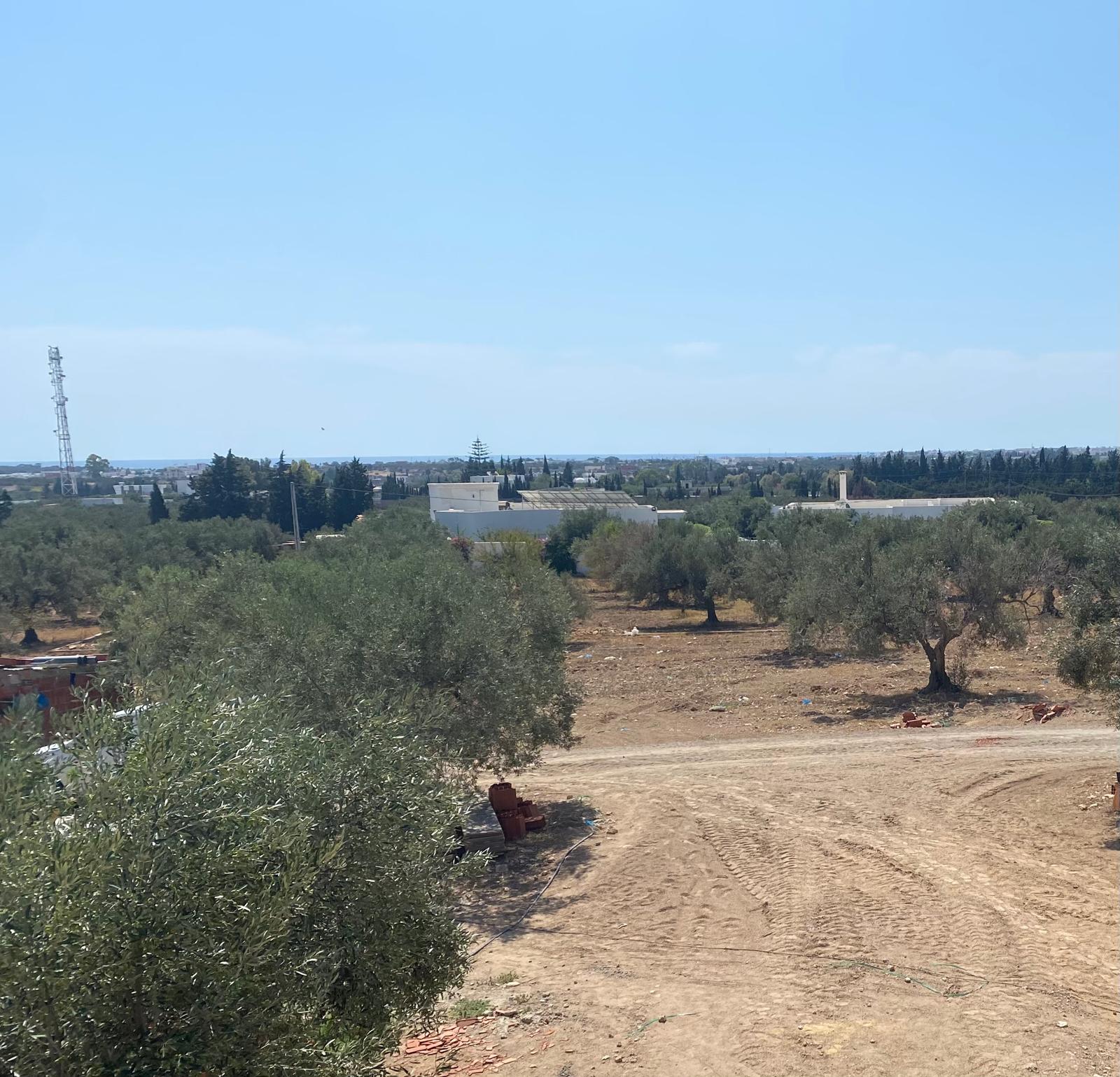 Hammamet Cite Bouslama Terrain Terrain agricole Cite en plein essor