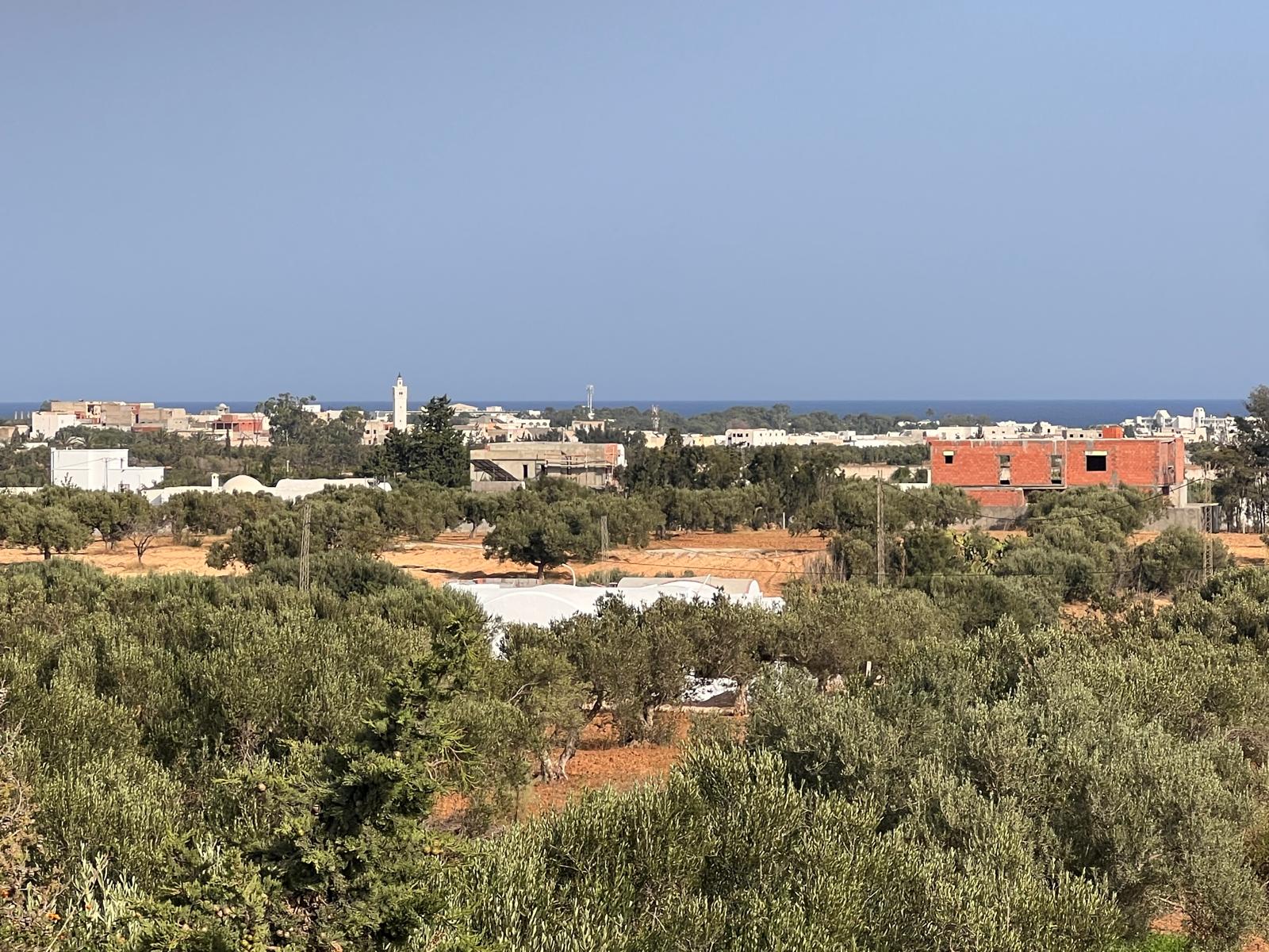 Hammamet Cite Bouslama Terrain Terrain agricole Cite en plein essor