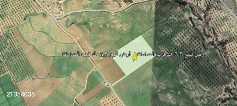 Hammamet Bir Bouregba Terrain Terrain agricole Terrain proche de hammamet investissement