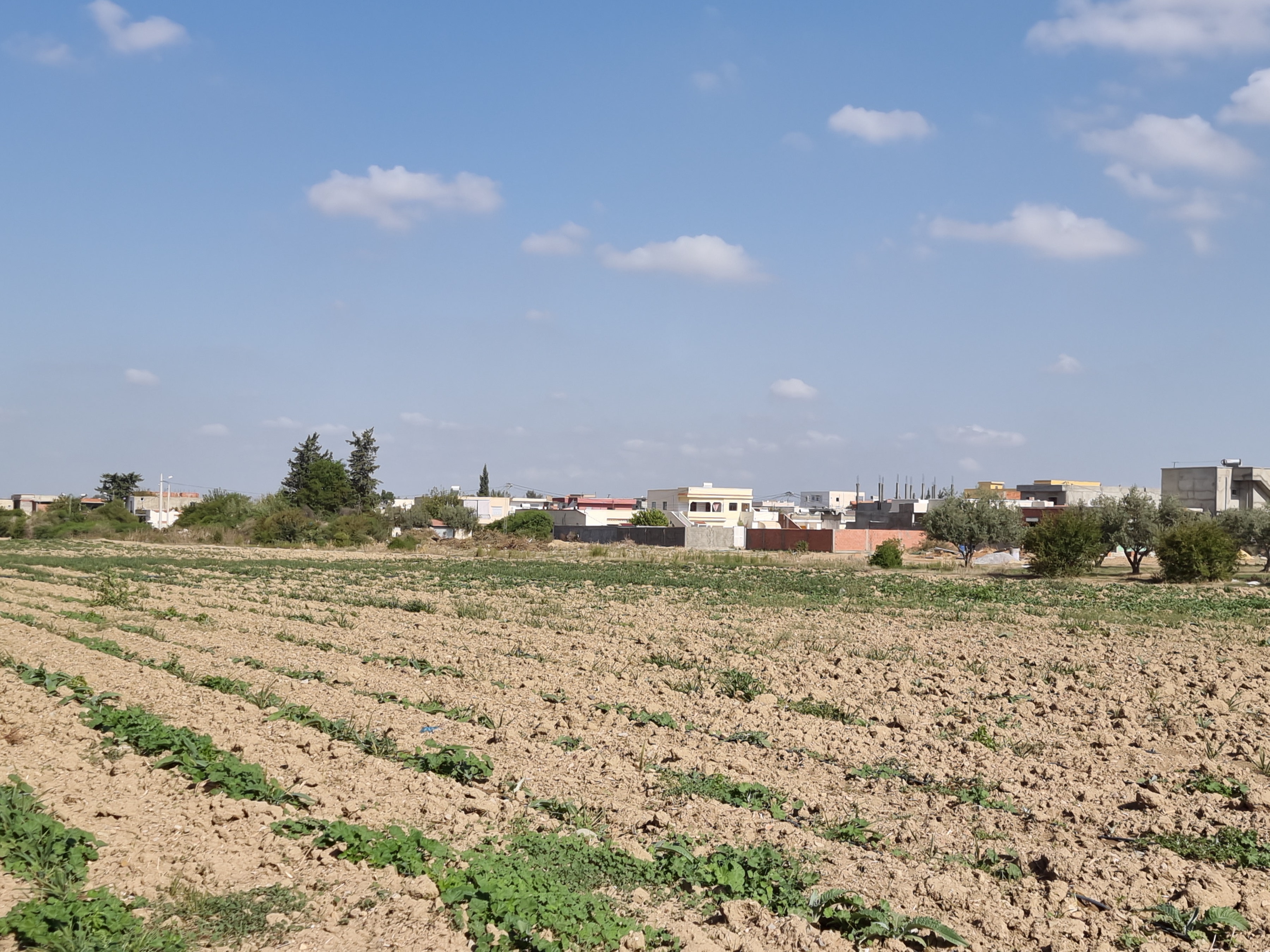 Sidi Thabet Cite El Mbarka Terrain Terrain nu Lotissement habitation