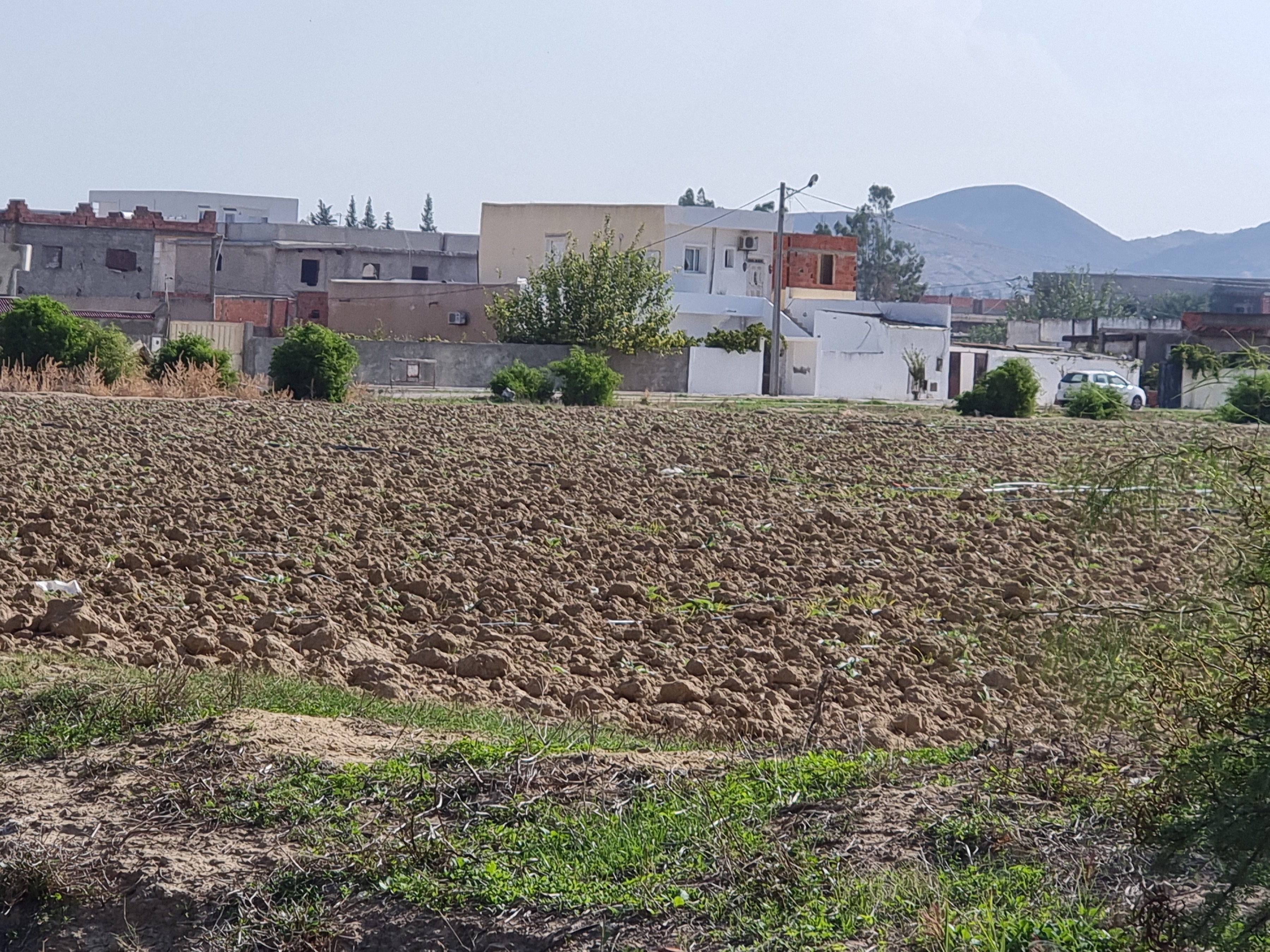 Sidi Thabet Cite El Mbarka Terrain Terrain nu Lotissement habitation