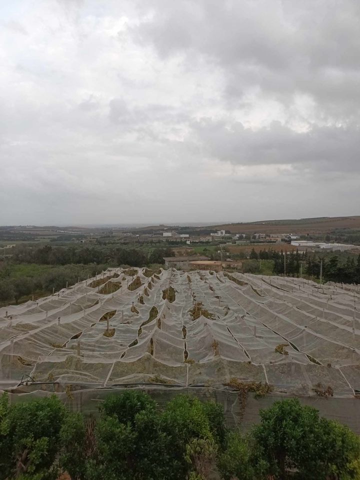 El Alia El Alia Terrain Terrain agricole Ferme avec des arbres fruitiers et  une villa