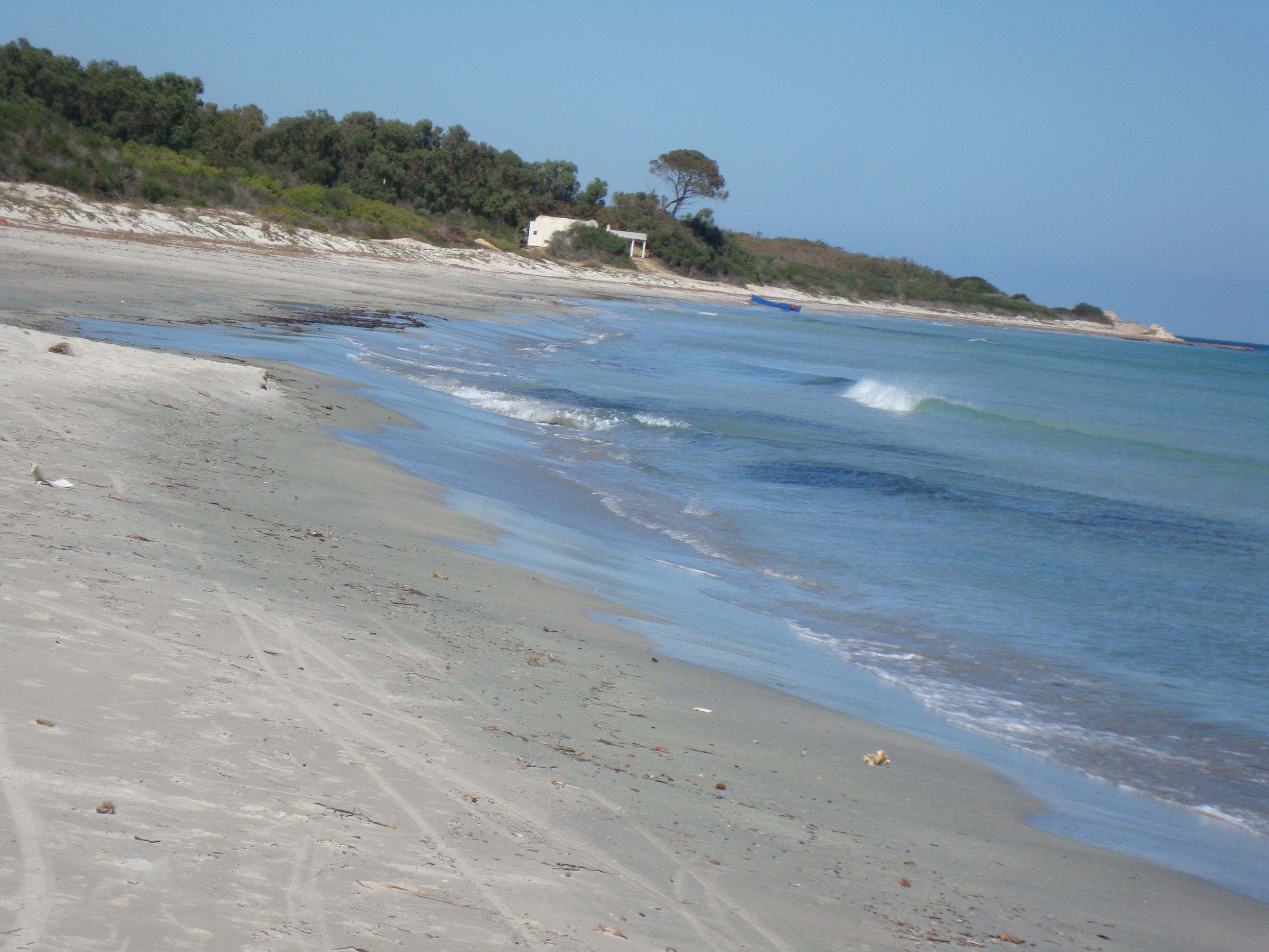 Kelibia Dar Allouche Terrain Terrain agricole Au bord de la mer 2000 mtre carr