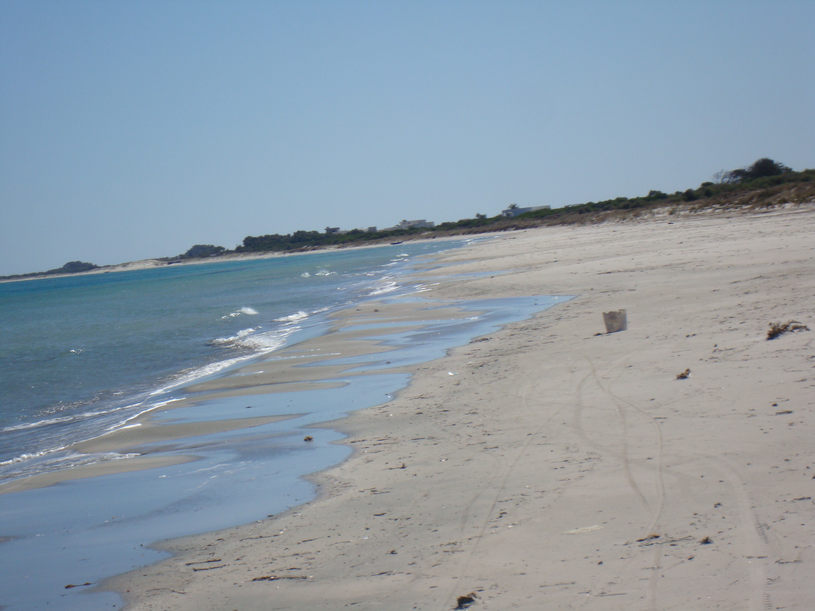 Kelibia Kerkouane Terrain Terrain agricole Au bord de la mer 4000 mtre carr